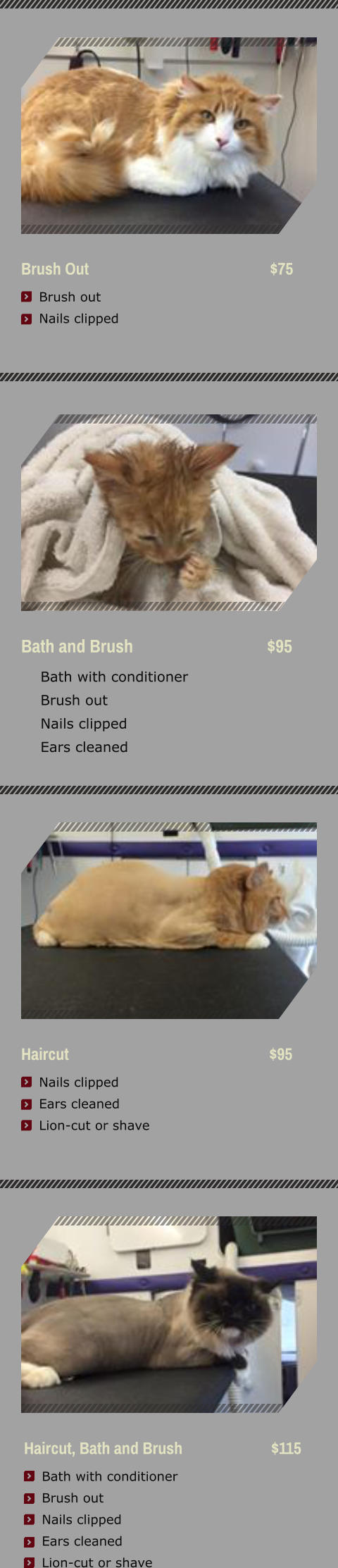 Bath and Brush                                $95     Bath with conditioner     Brush out     Nails clipped     Ears cleaned Brush Out                                               $75     Brush out     Nails clipped      Haircut                                                    $95     Nails clipped     Ears cleaned     Lion-cut or shave   Haircut, Bath and Brush                       $115      Bath with conditioner     Brush out     Nails clipped     Ears cleaned     Lion-cut or shave